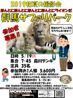 撮影会参加者募集チラシ1
