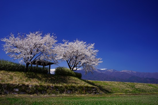 春空