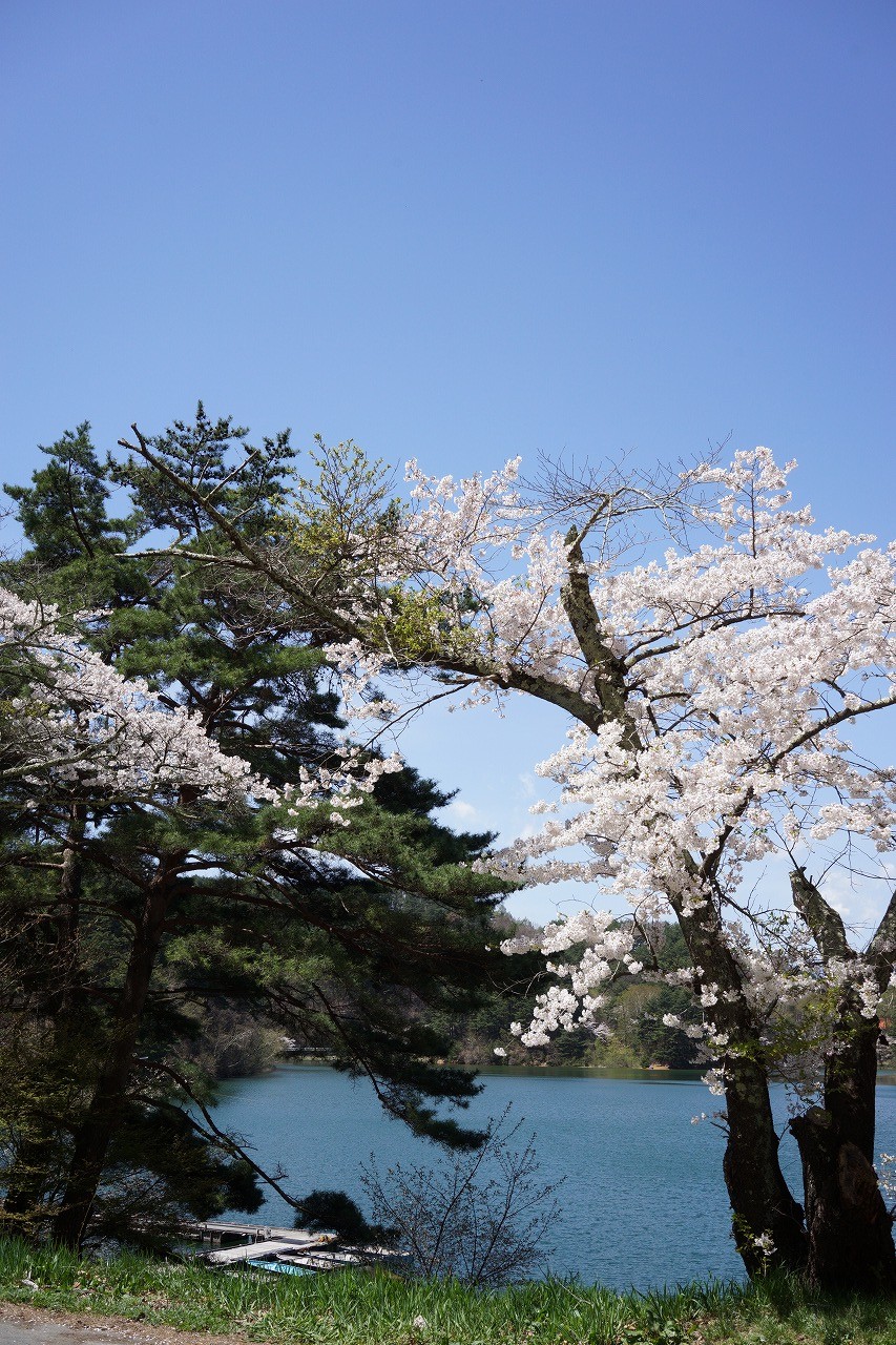 ①湖上の美