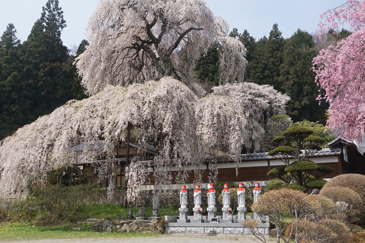 ⑬山寺の春