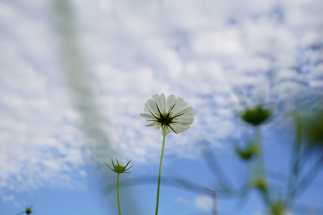 02秋空