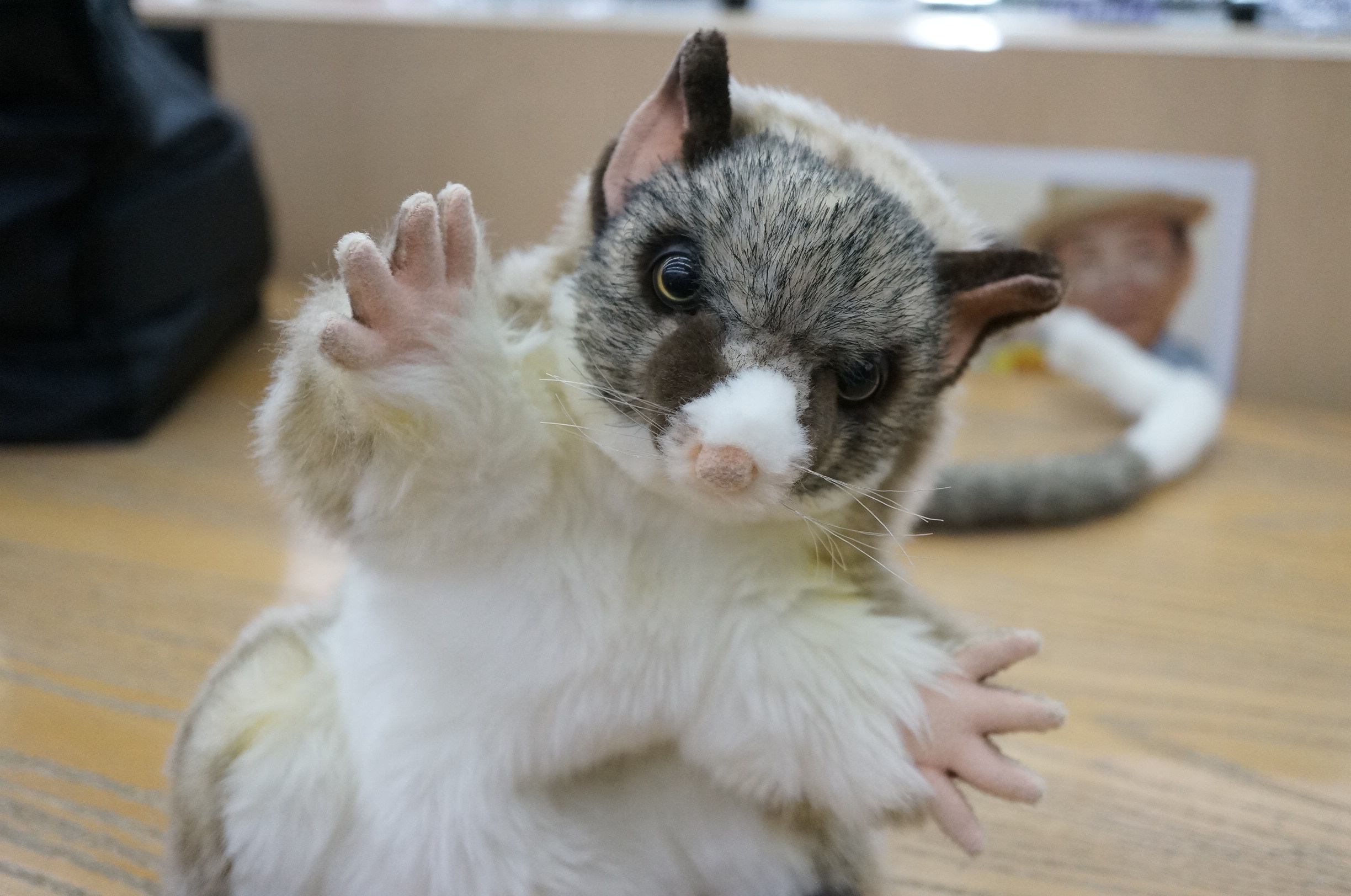 いんぞおん が なかまに なりたそうに こちらをみている(IN いんぞおん が なかまに なりたそうに こちらをみている(IN