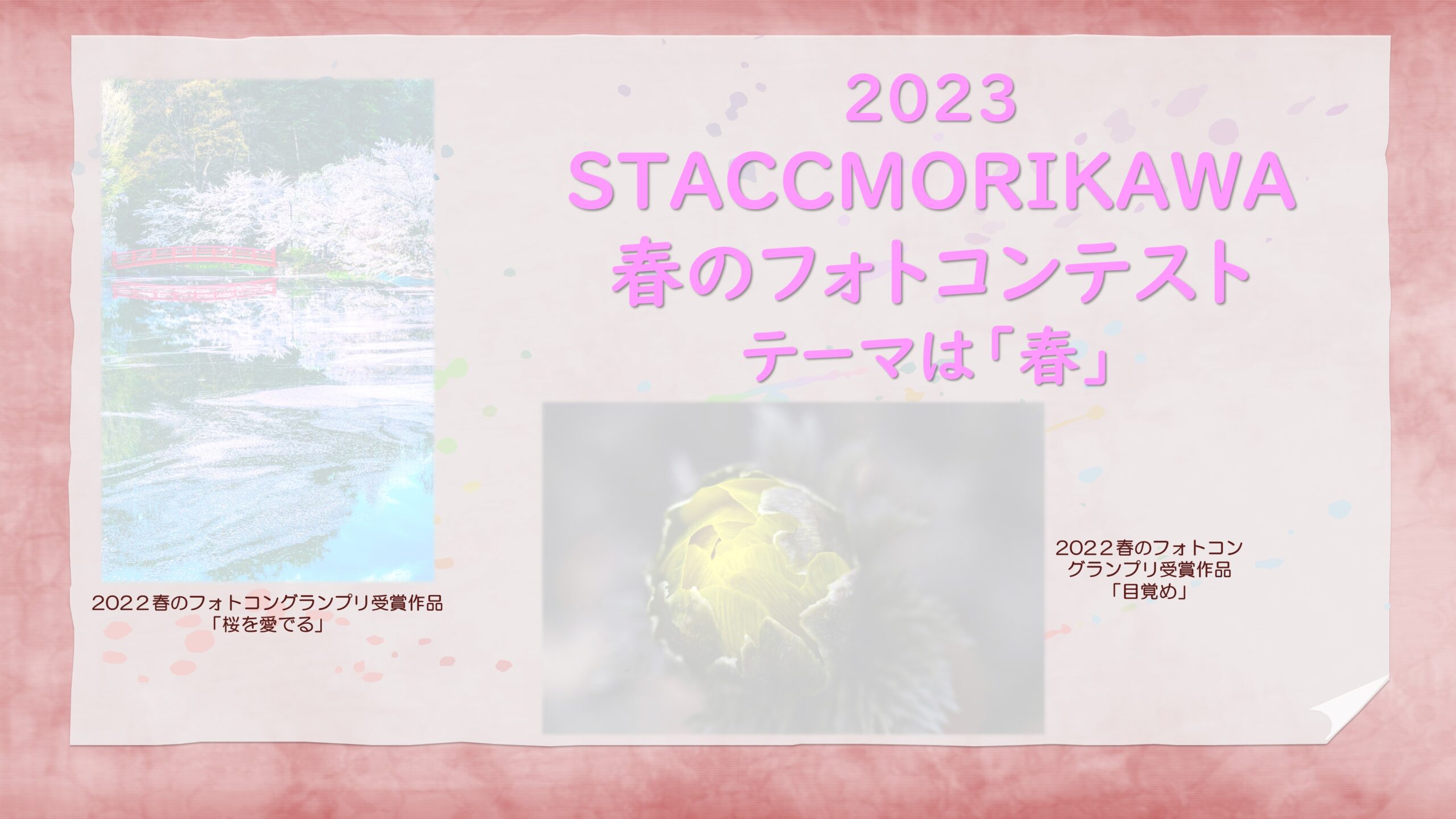 2023春のフォトコン表紙