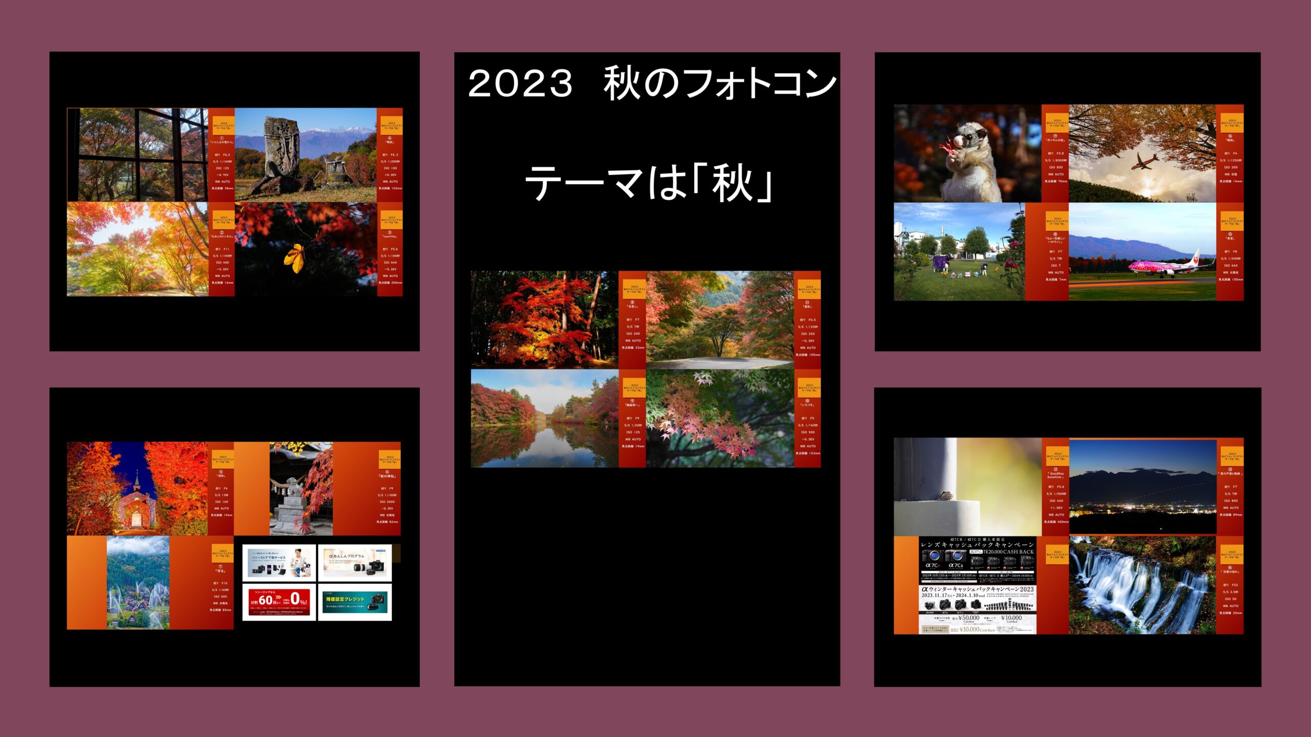 2023秋