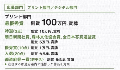 第41回「日本の自然」プリント部門