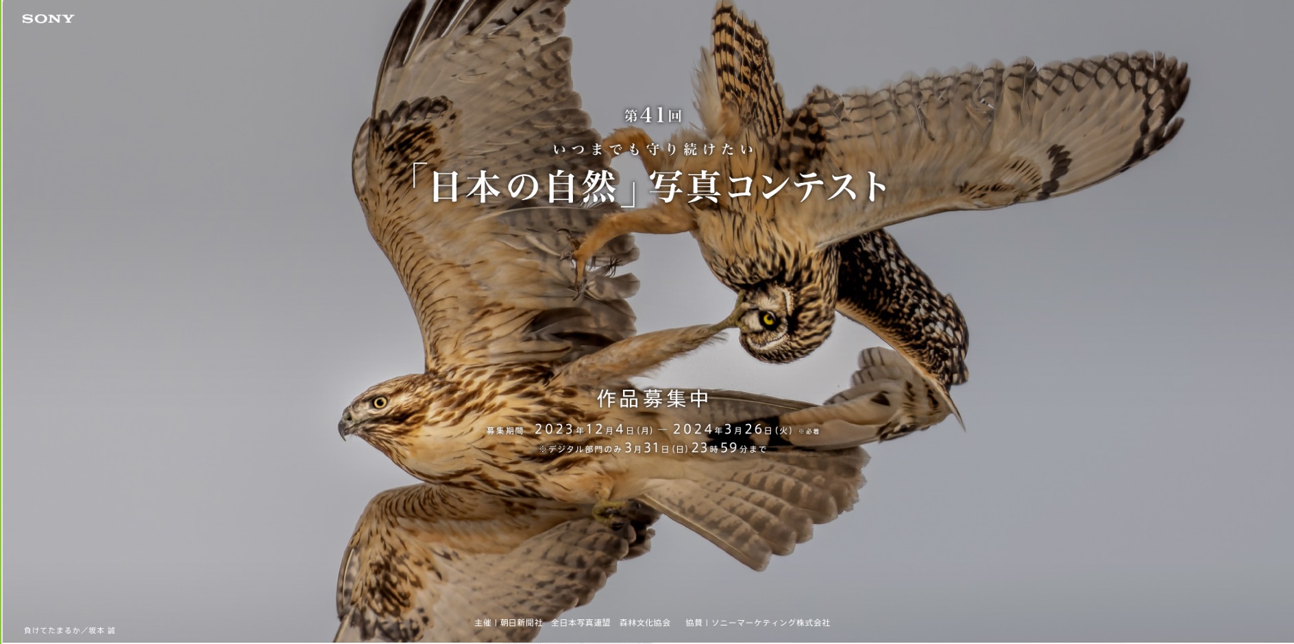 第41回「日本の自然」写真コンテスト