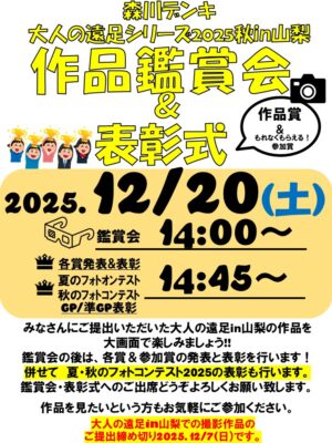 387c0d9ca80b41c16ba37f9523491319