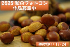 548c6ede301360ab698d4b7475966461