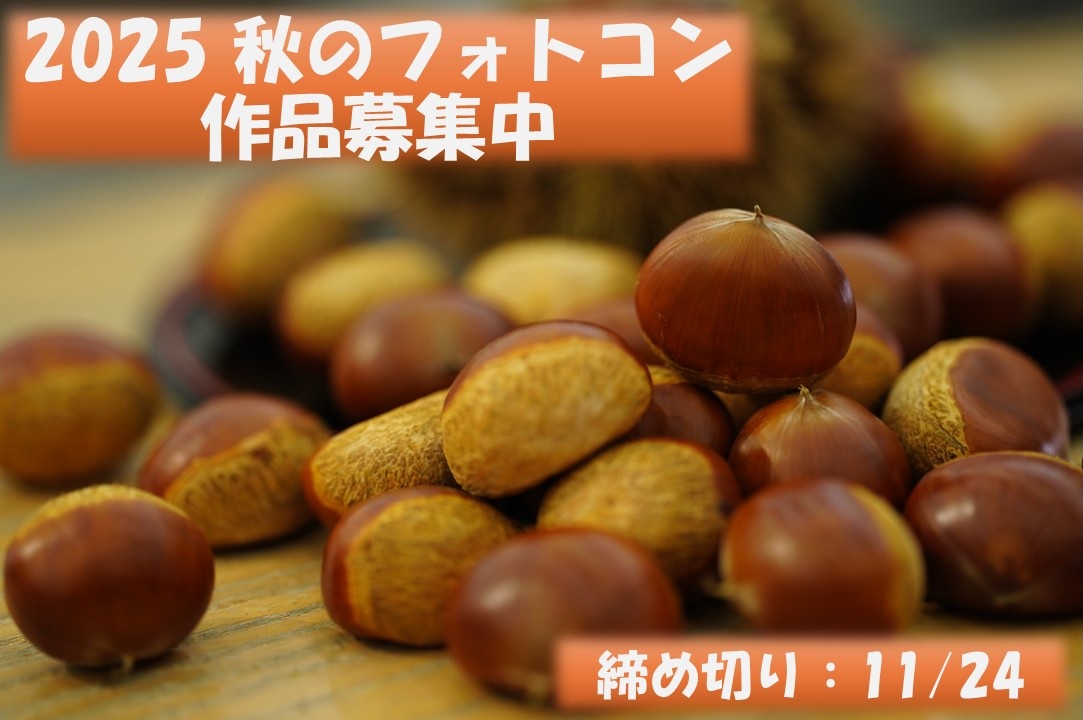 548c6ede301360ab698d4b7475966461