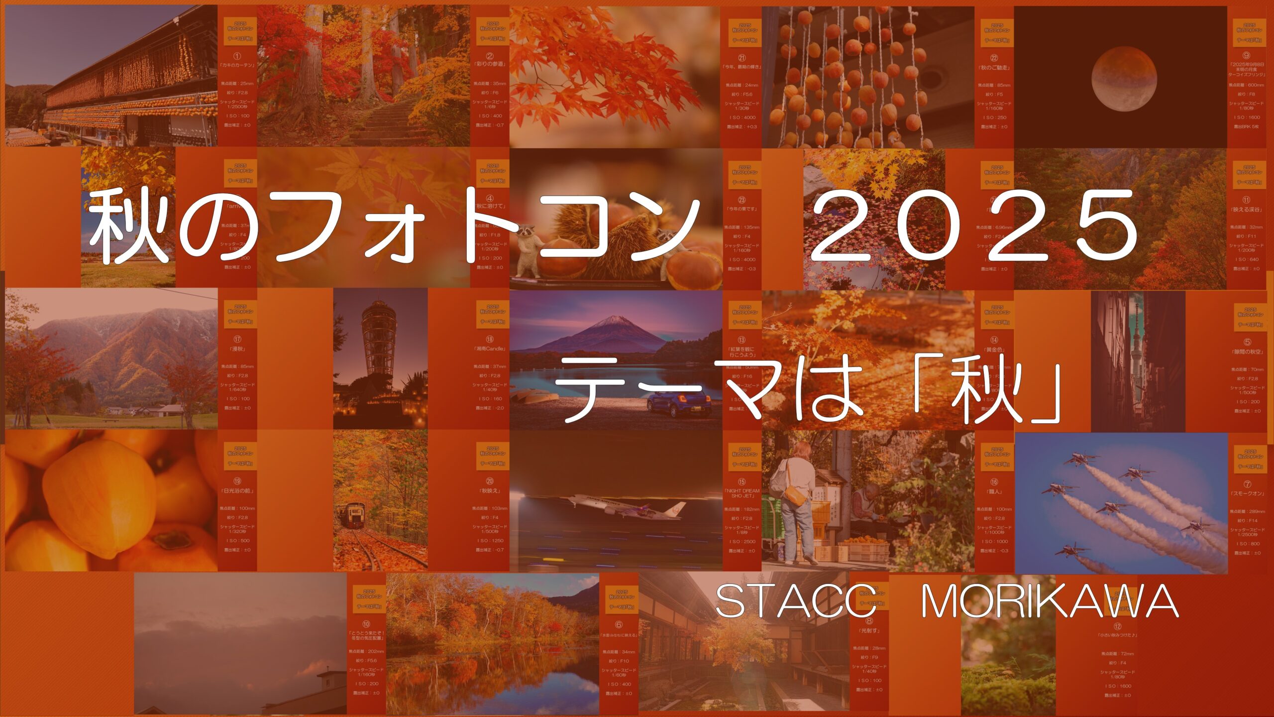 5621deba8a18b839c7a4321764bb05e8