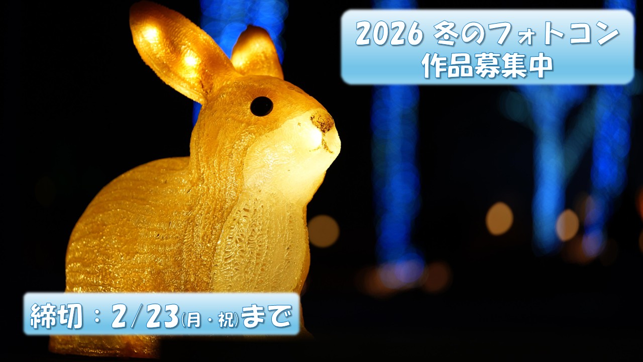 フォトコン募集告知