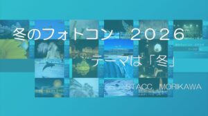 5621deba8a18b839c7a4321764bb05e8