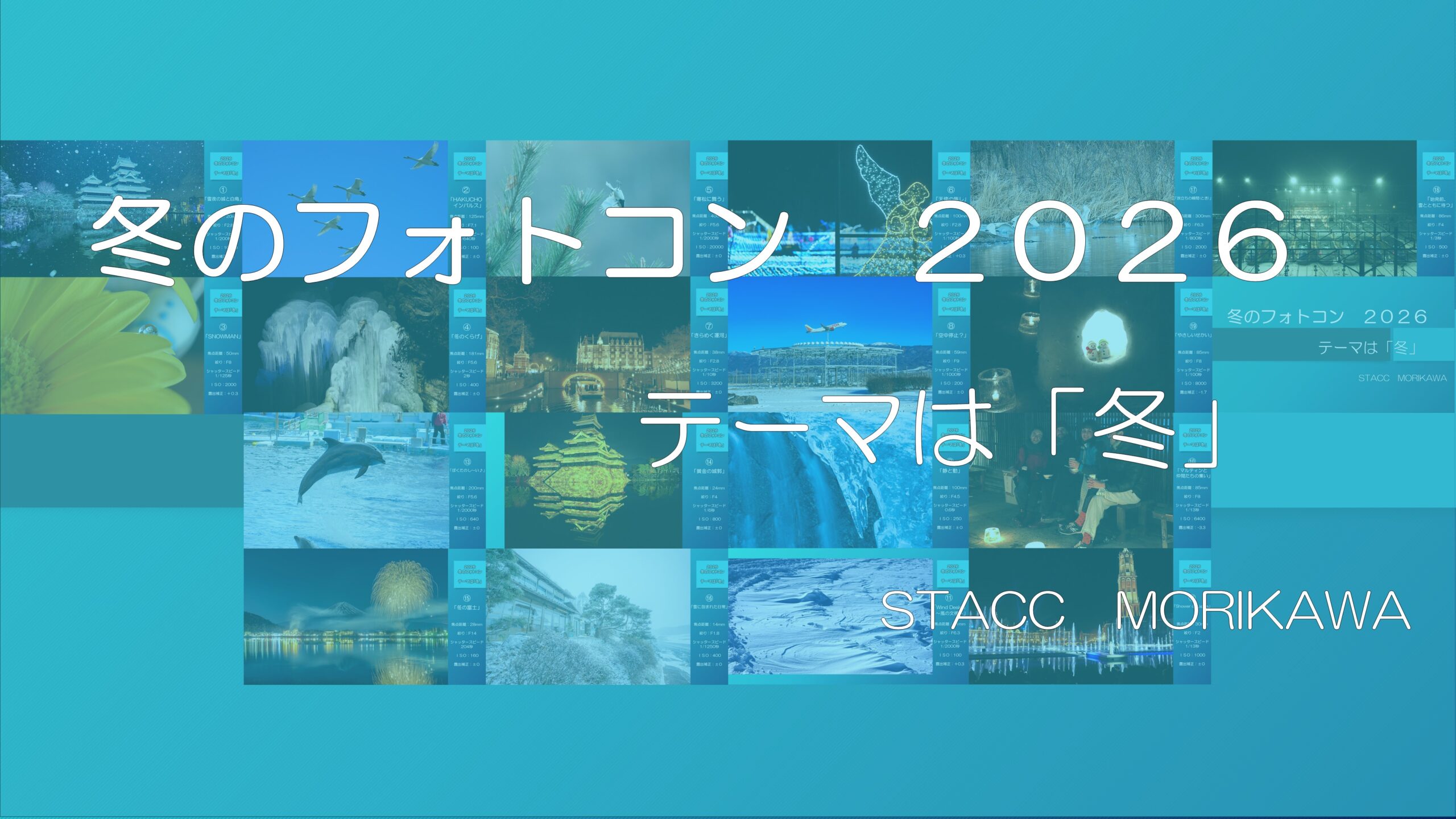 f0ad07419100b9b5744d965fc9d6d590