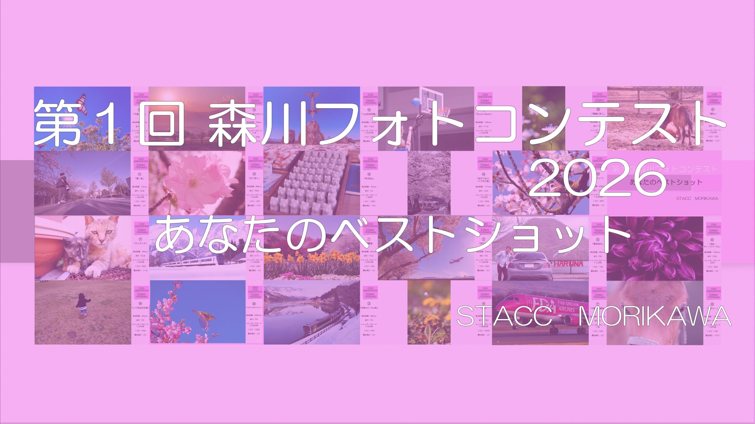 5621deba8a18b839c7a4321764bb05e8