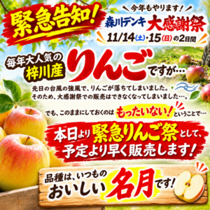 緊急りんご祭！名月販売開始