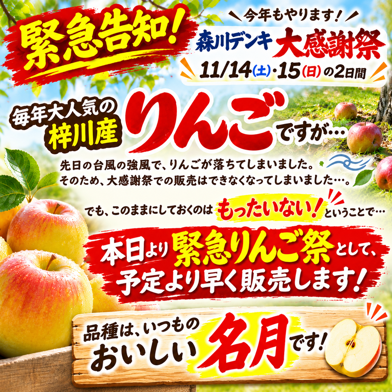 緊急りんご祭！名月販売開始